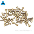 Small brass pan head machine screws cross type